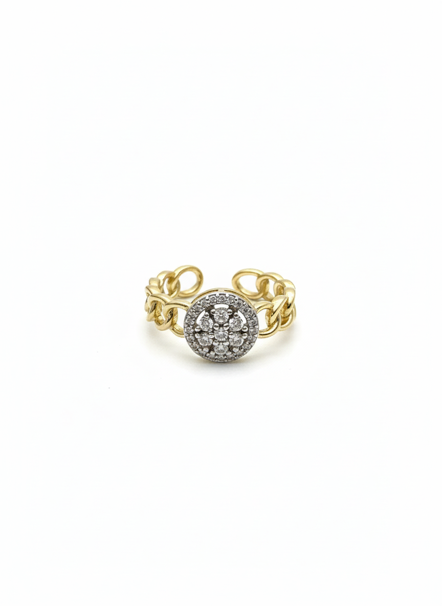 Pavé Disc Chain Ring