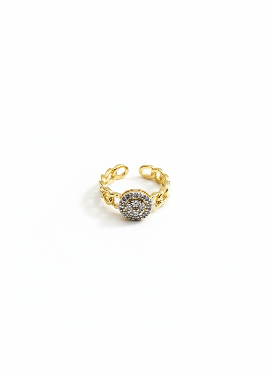 Pavé Disc Chain Ring
