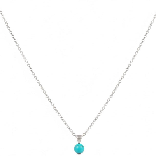The Turquoise Silver Necklace